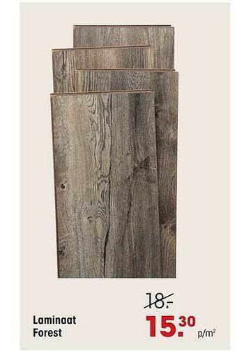 Kwantum Laminaat Forest aanbieding