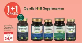 Supplementen