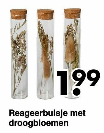 Reageerbuisje met droogbloemen