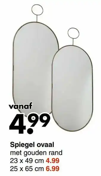 Wibra Spiegel ovaal aanbieding