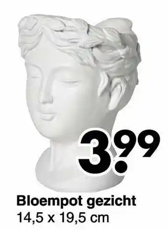 Wibra Bloempot gezicht aanbieding