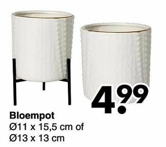 Wibra Bloempot aanbieding