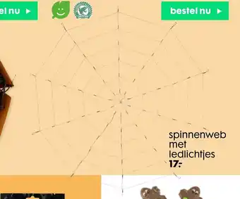 Spinnenweb Met Ledlichtjes