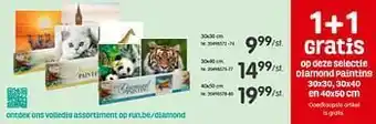 1+1 gratis op deze selectie diamond painting