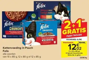 Carrefour Kattenvoeding in Pouch Felix aanbieding