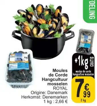 Cora moules de corde hangcultuur mossele aanbieding