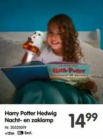 Harry potter hedwig nacht- en zaklamp