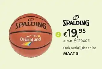 Dreamland SPALDING BASKETBAL DREAMLAND MAAT 7 aanbieding