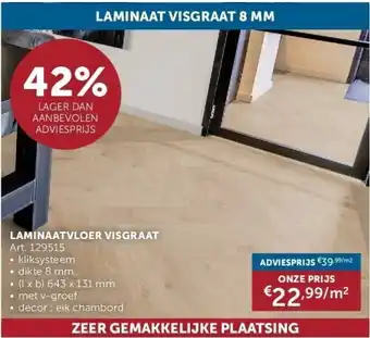 Zelfbouwmarkt LAMINAATVLOER VISGRAAT aanbieding