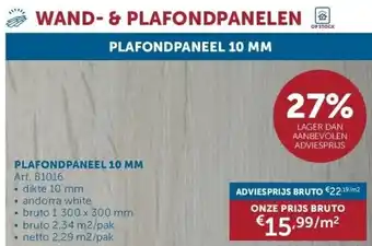 Zelfbouwmarkt PLAFONDPANEEL 10 MM aanbieding