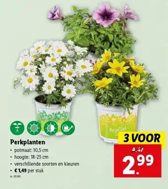 Lidl Perkplanten aanbieding