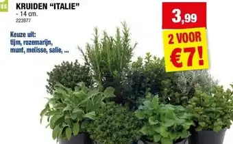 Hubo KRUIDEN “ITALIE” aanbieding