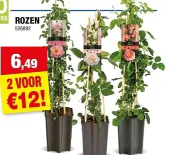 Hubo ROZEN aanbieding