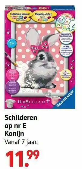 Europoint Schilderen op nr e konijn aanbieding