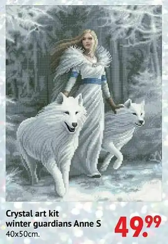 Europoint Crystal art kit winter guardians anne s aanbieding