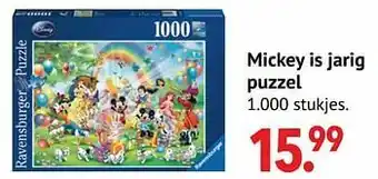 Mickey is jarig puzzel