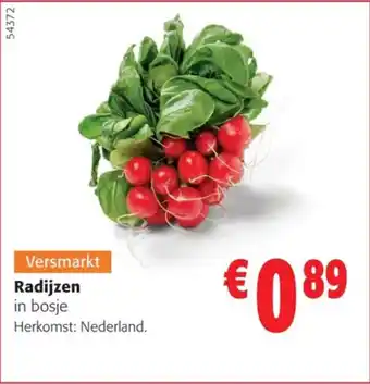 Colruyt Radijzen in bosje aanbieding