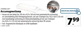 Lidl Livarno Lux Accumagneetlamp aanbieding