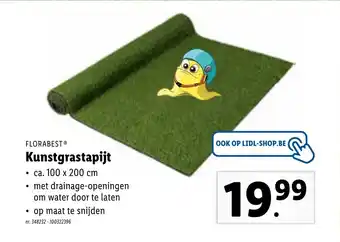 Lidl Florabest Kunstgrastapijt aanbieding