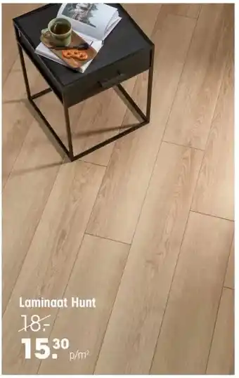 Kwantum Laminaat Hunt aanbieding