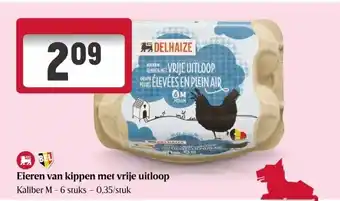 Delhaize Eieren van kippen met vrije uitloop aanbieding