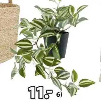 Jysk ASGAR KUNSTPLANT aanbieding