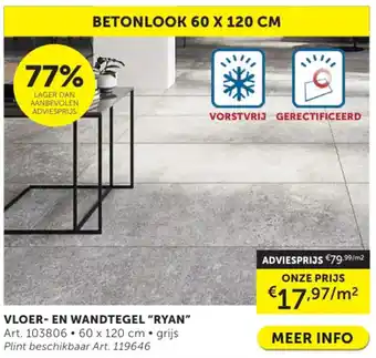 Zelfbouwmarkt VLOER EN WANDTEGEL RYAN  60 x 120 cm aanbieding