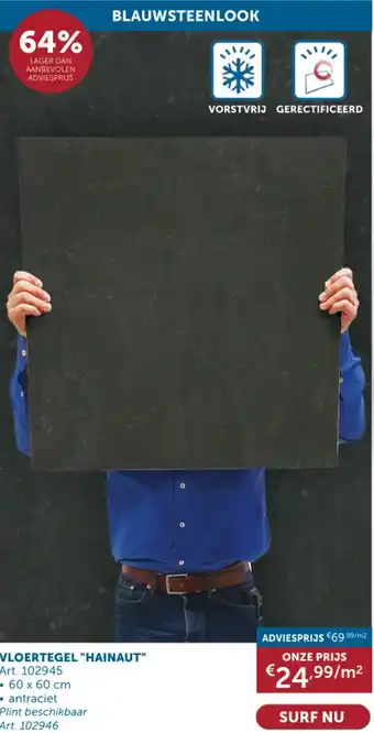Zelfbouwmarkt VLOERTEGEL HAINAUT 60 x 60 cm aanbieding