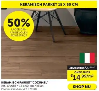 Zelfbouwmarkt KERAMISCH PARKET COZUMEL aanbieding