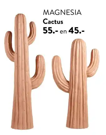 MAGNESIA Cactus