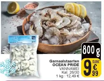 Cora Garnaalstaarten OCEAN PRIDE aanbieding