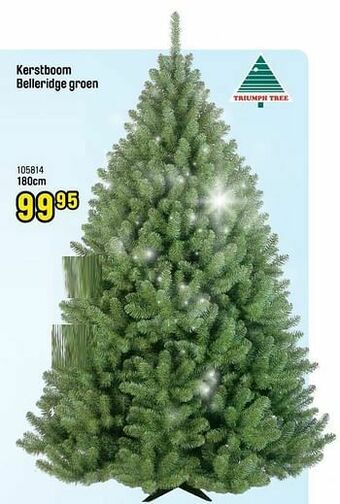 Happyland Kerstboom belleridge groen aanbieding