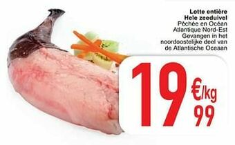 Cora Lotte entière hele zeeduivel aanbieding