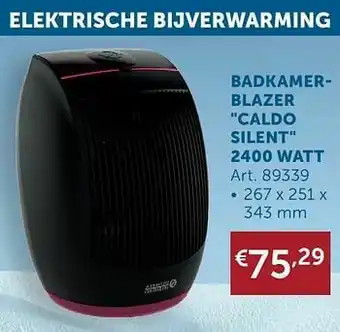 Zelfbouwmarkt Badkamerblazer caldo silent 2400 watt aanbieding