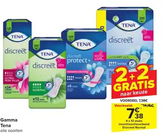 Carrefour Market Tena Gamma aanbieding