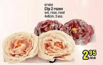 Clip 2 rozen