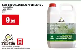 Hubo ANTI-GROENE AANSLAG “FORTUS” 5 L aanbieding