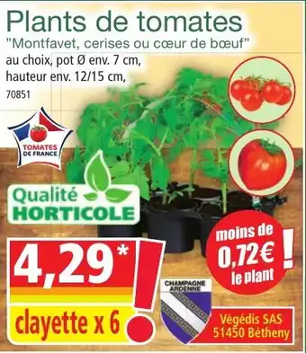 Norma Plants de tomates aanbieding