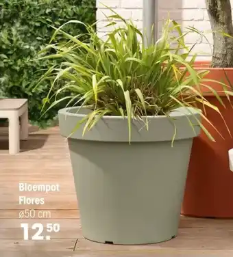 Kwantum Bloempot Flores aanbieding