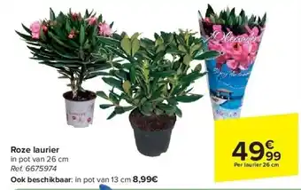 Carrefour Roze laurier aanbieding