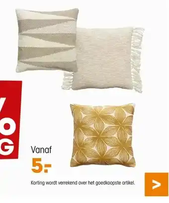 Kwantum Alle sierkussens aanbieding