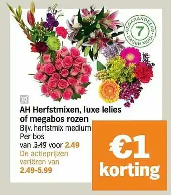Albert Heijn Herfstmix medium aanbieding