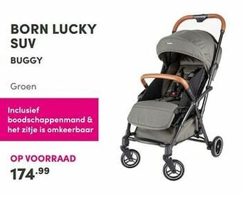 Born lucky suv buggy