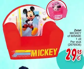 Cora Zetel Mickey of Minnie aanbieding
