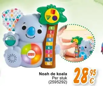 Noah de koala