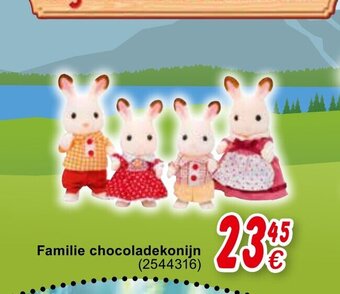 Cora Familie chocoladekonijn aanbieding