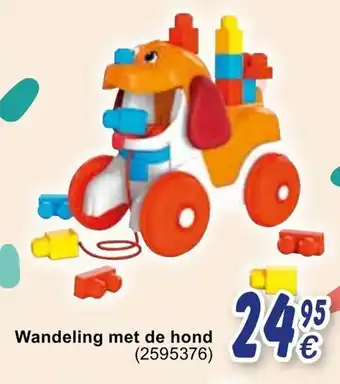 Wandeling met de hond
