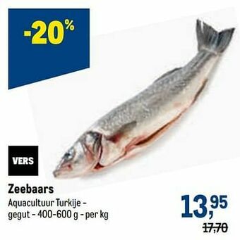 Zeebaars