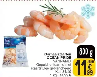 Cora Garnaalstaarten OCEAN PRIDE aanbieding