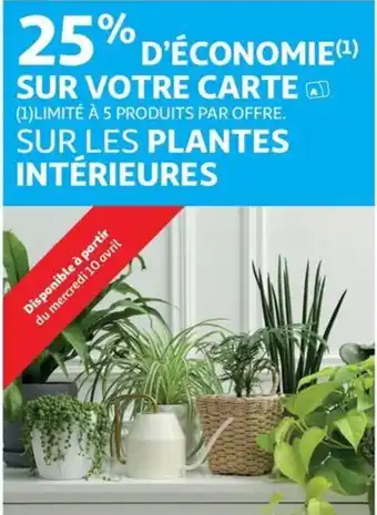 PLANTES INTÉRIEURES
